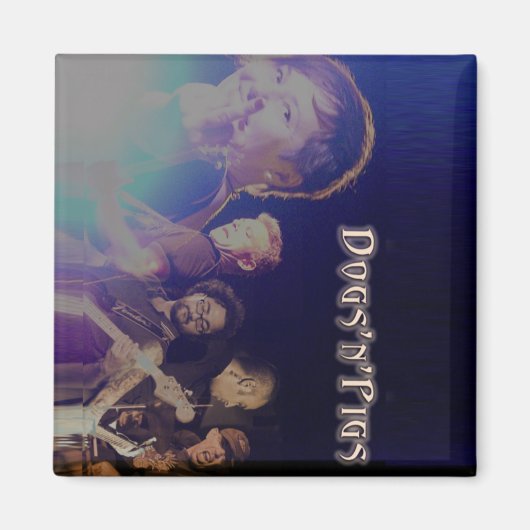 Magnets de la bande D'n'P (Devant)