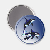 Magnets de la famille des baleines tueuses (Recto/Verso)
