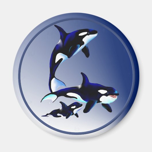 Magnets de la famille des baleines tueuses (Devant)