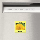 Magnets de lave-vaisselle Propre Fleurs de soleil  (In Situ (Lave-vaisselle))