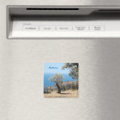 Magnets de Majorque (In Situ (Lave-vaisselle))