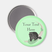 Magnets de Raccoon (Recto/Verso)