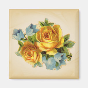 Magnets de rose jaune pâle