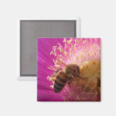 Magnets des abeilles (Recto/Verso)