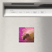 Magnets des abeilles (In Situ (Lave-vaisselle))