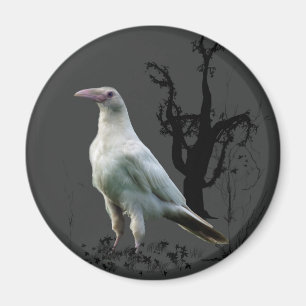 Magnets du Corbeau blanc