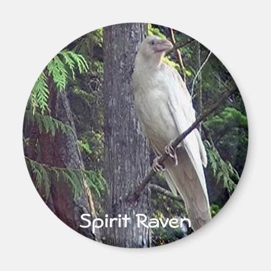 Magnets du Corbeau blanc (Devant)