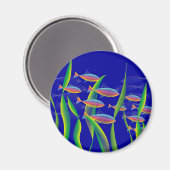 Magnets du fond de la mer (Recto/Verso)