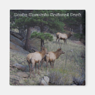 Magnets du Parc national des Rocheuses