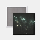 Magnets Fireworks (Recto/Verso)