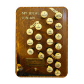 Magnets flexibles d'organe (Vertical)