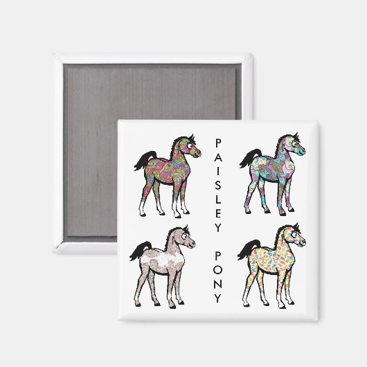 Magnets Paisley Pony (Recto/Verso)