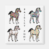 Magnets Paisley Pony (Devant)