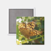 Magnets papillons (Recto/Verso)