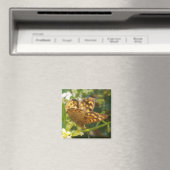 Magnets papillons (In Situ (Lave-vaisselle))