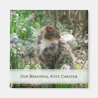 Magnets Personnalisés pour animaux de compagnie :