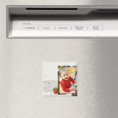 Magnets photo (In Situ (Lave-vaisselle))