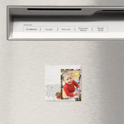 Magnets photo (In Situ (Lave-vaisselle))