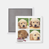 magnets photo de chien instagram (Recto/Verso)