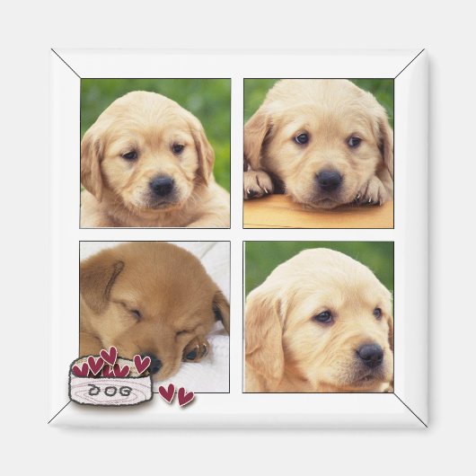 magnets photo de chien instagram (Devant)