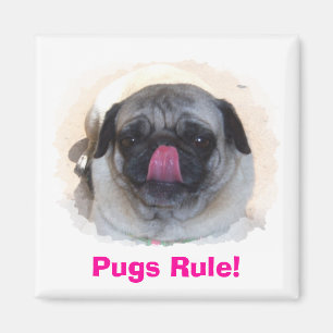 Magnets photo personnalisés