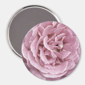 Magnets roses (Recto/Verso)