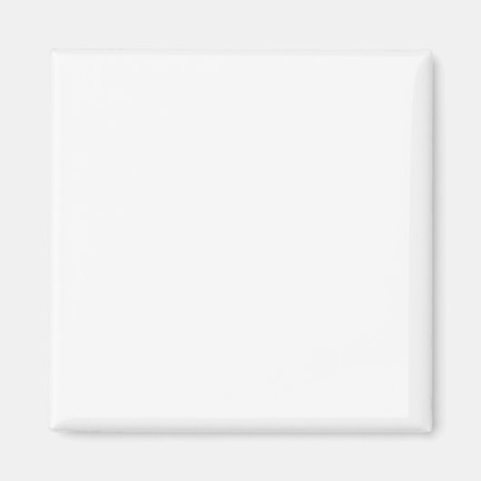 Magnets Simple Authority® (Devant)