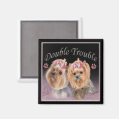 Magnets Yorkie Double Trouble (Recto/Verso)