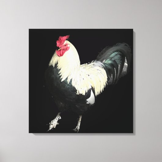 Magnificant Cocreet nr. 1 Canvas Afdruk (Voorkant)