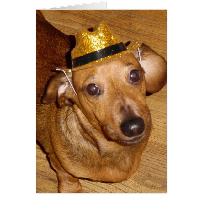 MAGNIFICANT MICKEY COWBOY (Voorkant)