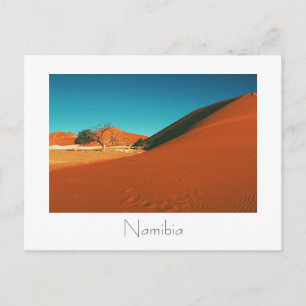 Magnificant Namibië Dune Sand Uitzicht Briefkaart