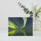 Magnificant noordelijk licht briefkaart (Staand voorkant)