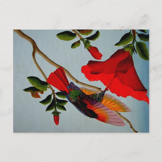Magnificante Hummingbird Briefkaart (Voorkant)