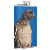 Magnificante Red-Tailed Hawk in de zon Heupfles (Rechts)