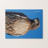 Magnificante Red-Tailed Hawk in de zon Legpuzzel (Horizontaal)