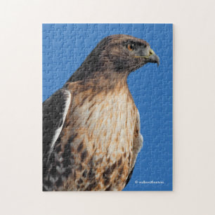 Magnificante Red-Tailed Hawk in de zon Legpuzzel