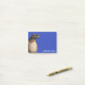 Magnificante Red-Tailed Hawk in de zon Post-it® Notes (Op bureau)