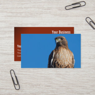 Magnificante Red-Tailed Hawk in de zon Visitekaartje