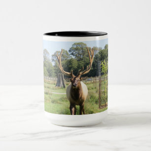 Magnificent Bull Elk Foto op 15oz combo-mok Mok
