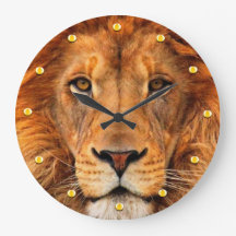 Magnificent Lion's hoofd schoonheid Regal