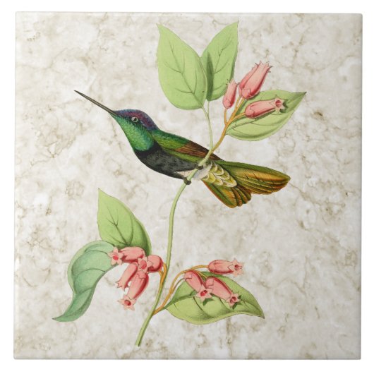 Magnifieke Hummingbird Ceramic Tile Tegeltje (Voorkant)