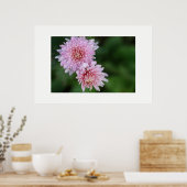 Magnifique Affiche de Fleurs Roses Douces (Cuisine)