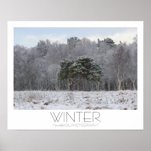 Magnifique affiche d'hiver ! (Devant)