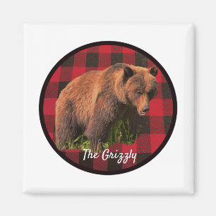 Magnifique aimant à carreaux de buffle d'ours griz