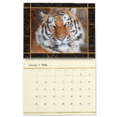 Magnifique Big Cats Photo Calendrier (Jan 2026)