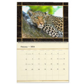 Magnifique Big Cats Photo Calendrier (Feb 2026)