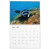 Magnifique calendrier des rayons Manta (Mar 2027)