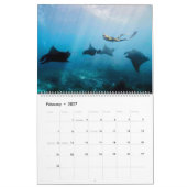 Magnifique calendrier des rayons Manta (Feb 2027)