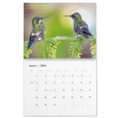 Magnifique calendrier photo Hummingbirds (Mar 2026)