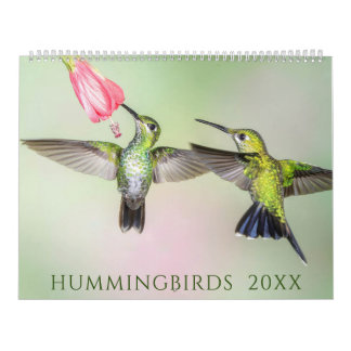 Magnifique calendrier photo Hummingbirds